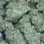 XXX OG (1 ounce)