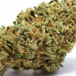 Cannatonic 10 grams