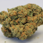 Durban Poison 8 grams