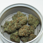Girl Scout Cookies 28 grams