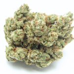 Jungle Cake 28 grams.