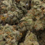 NYC Diesel (1 ounce)