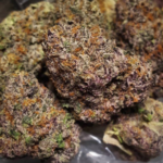 Bacio Gelato 28 grams.