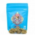 Cheetah Piss Cookies strain