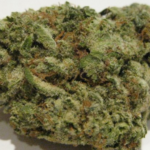 G 13 28 grams.
