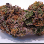 Grand Daddy Purple 28 grams