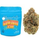 Georgia Pie Strain