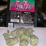 Jungle Boys Pie Hoe