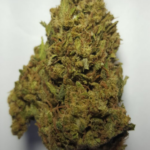 Khalifa kush 28 grams