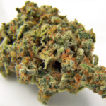 Northern Lights 28 grams