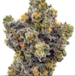Sunset Sherbet 28 grams