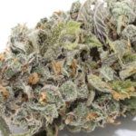 Super Silver Haze (1 ounce)