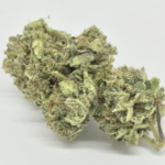 White Russian 10 grams